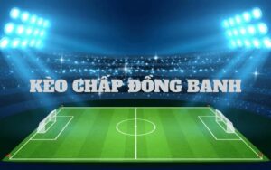 Phân tích những thông tin trước khi đặt cược mà bạn cần biết